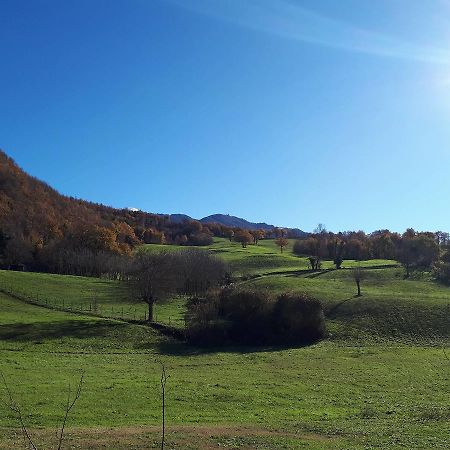 Il Gelso Room&Breakfast Pennabilli Buitenkant foto