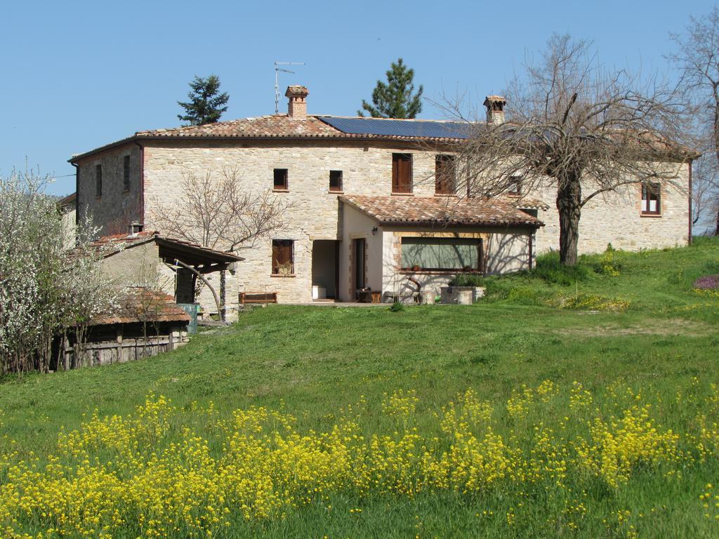 Il Gelso Room&Breakfast Pennabilli Buitenkant foto