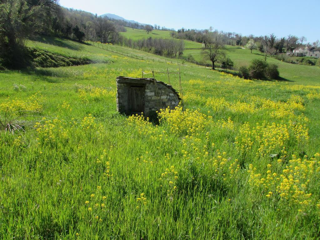 Il Gelso Room&Breakfast Pennabilli Buitenkant foto